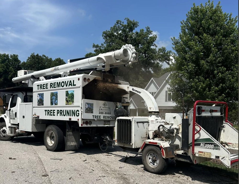 A tree removal truck is parked next to a tree pruning truck