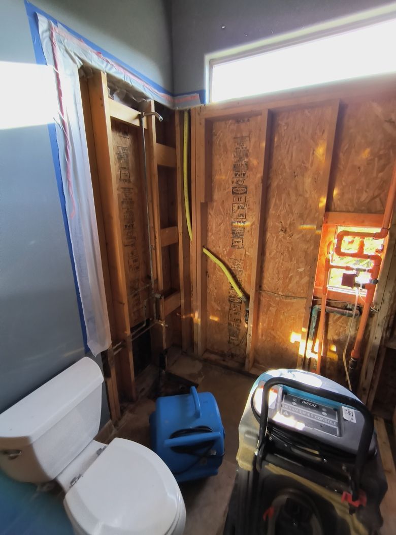 A bathroom with a toilet and a ladder in it