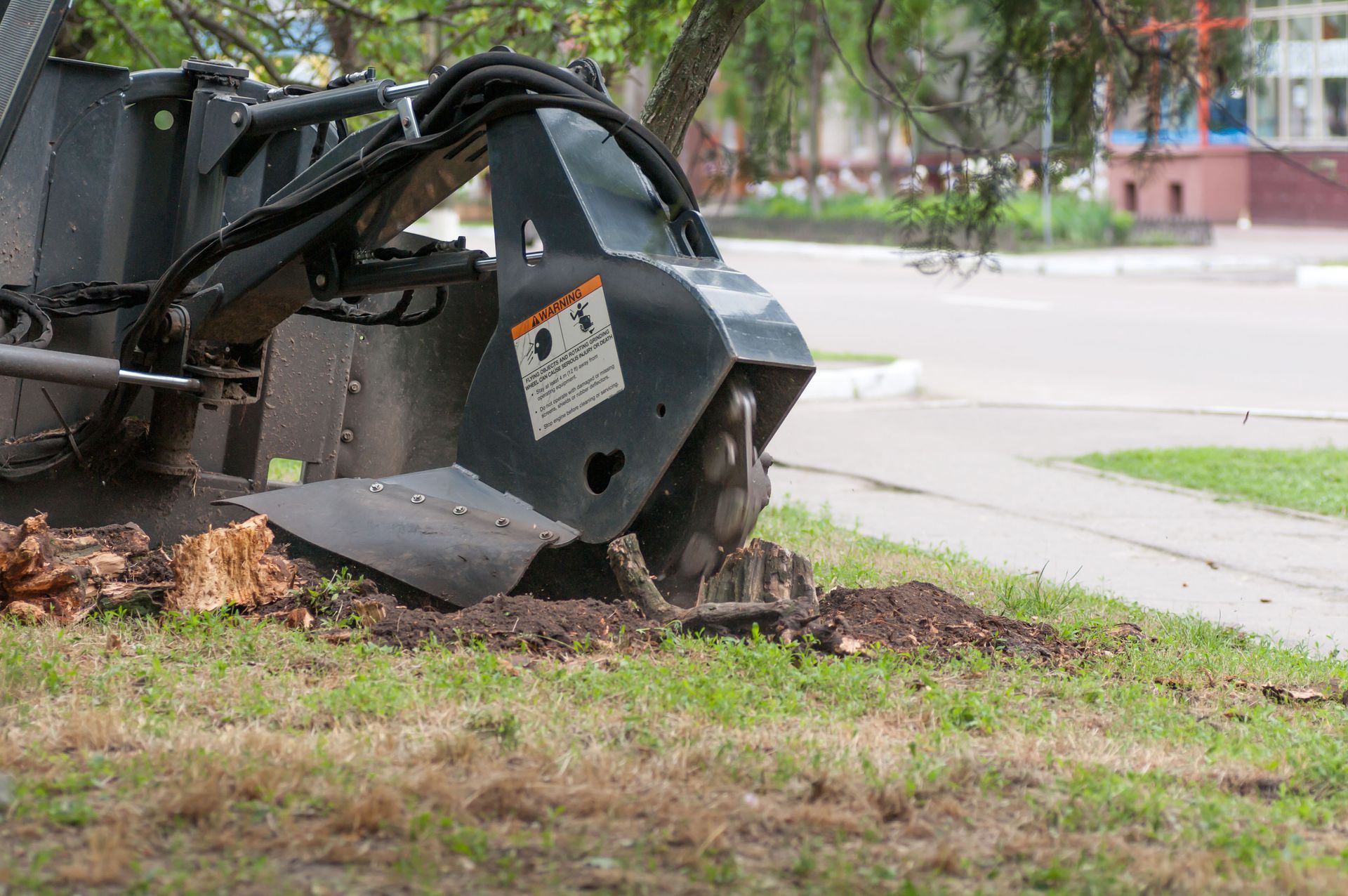 A tree stump grinder grinding a stump on a grassy lawn next to a street.