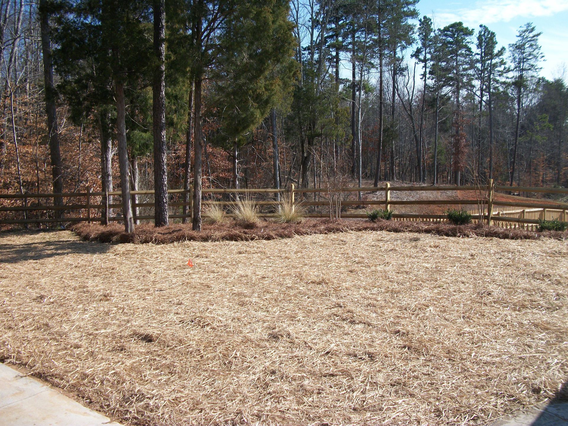 Wooded backyard with a large cleared dirt area and leafless trees under a clear sky