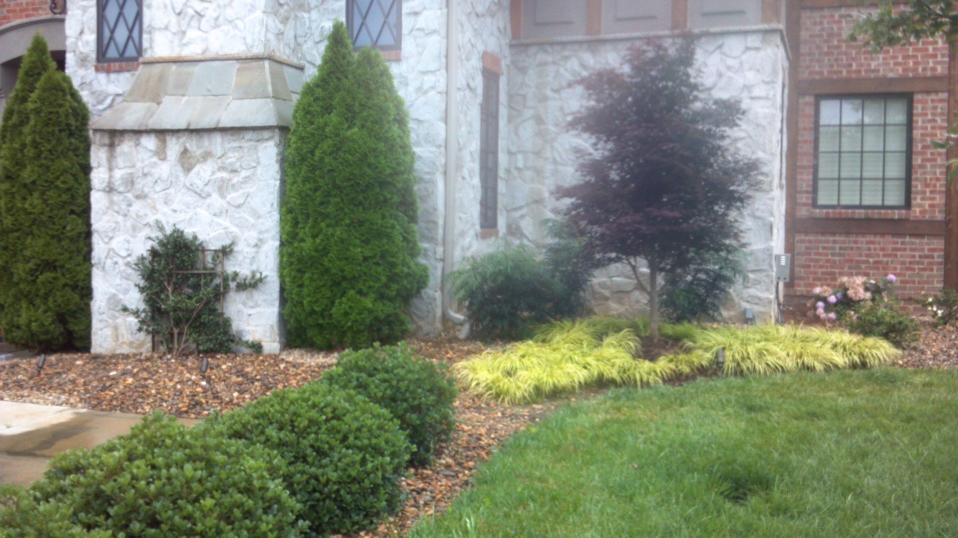 Landscape with shrubs and trees along a house exterior, including green lawn and brick siding.