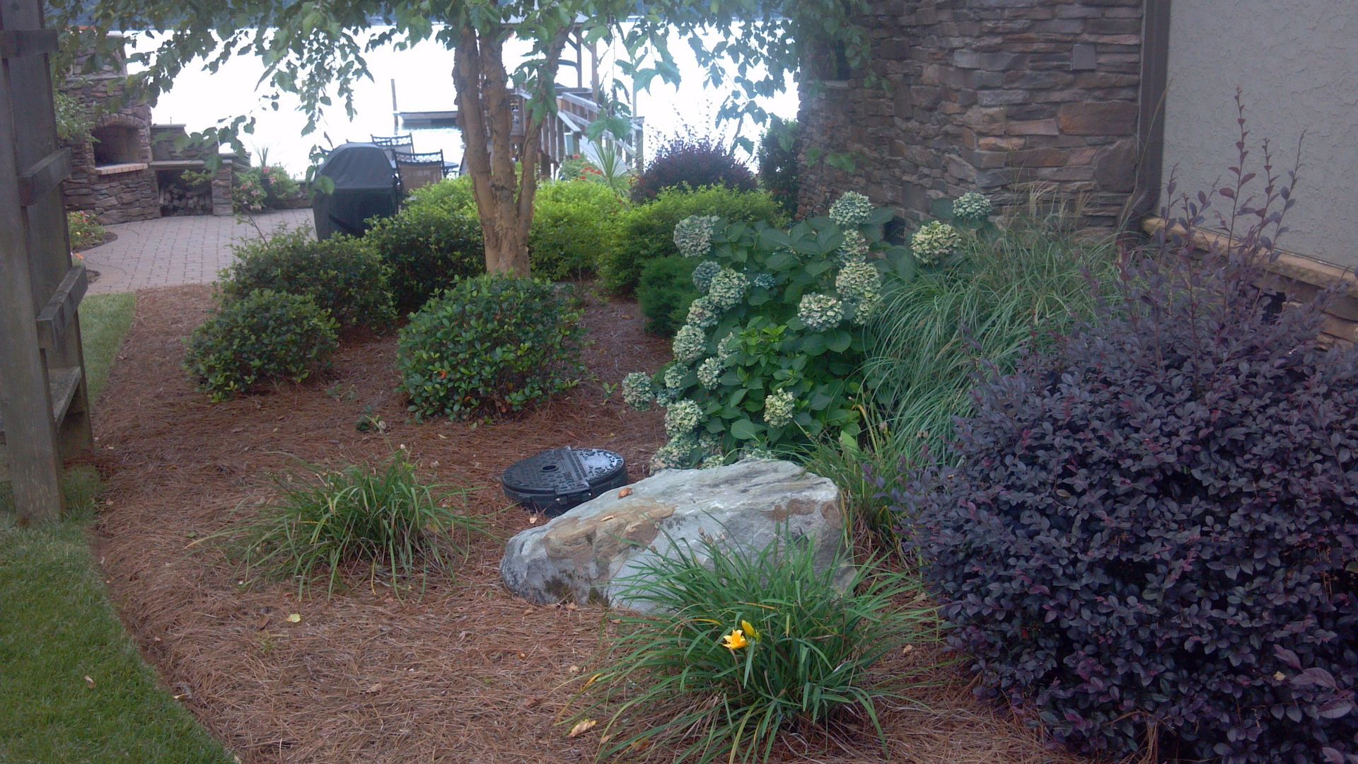 Mulched garden bed with shrubs, a small tree, and a large rock beside a brick house