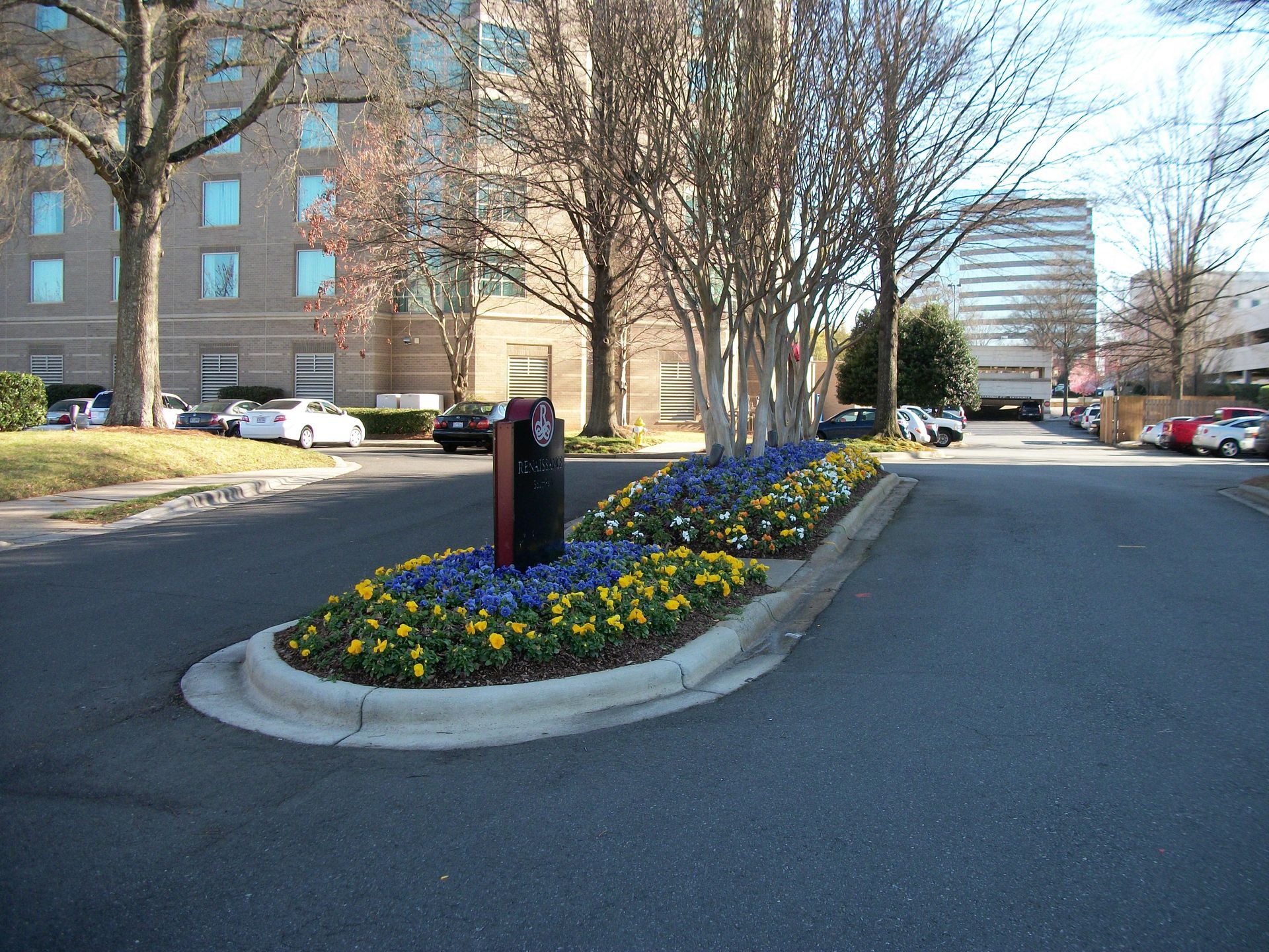 Curved driveway beside a landscaped flower bed with blue and yellow blooms in front of buildings.