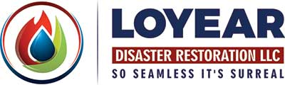 Loyear Disaster Restoration Services, LLC logo