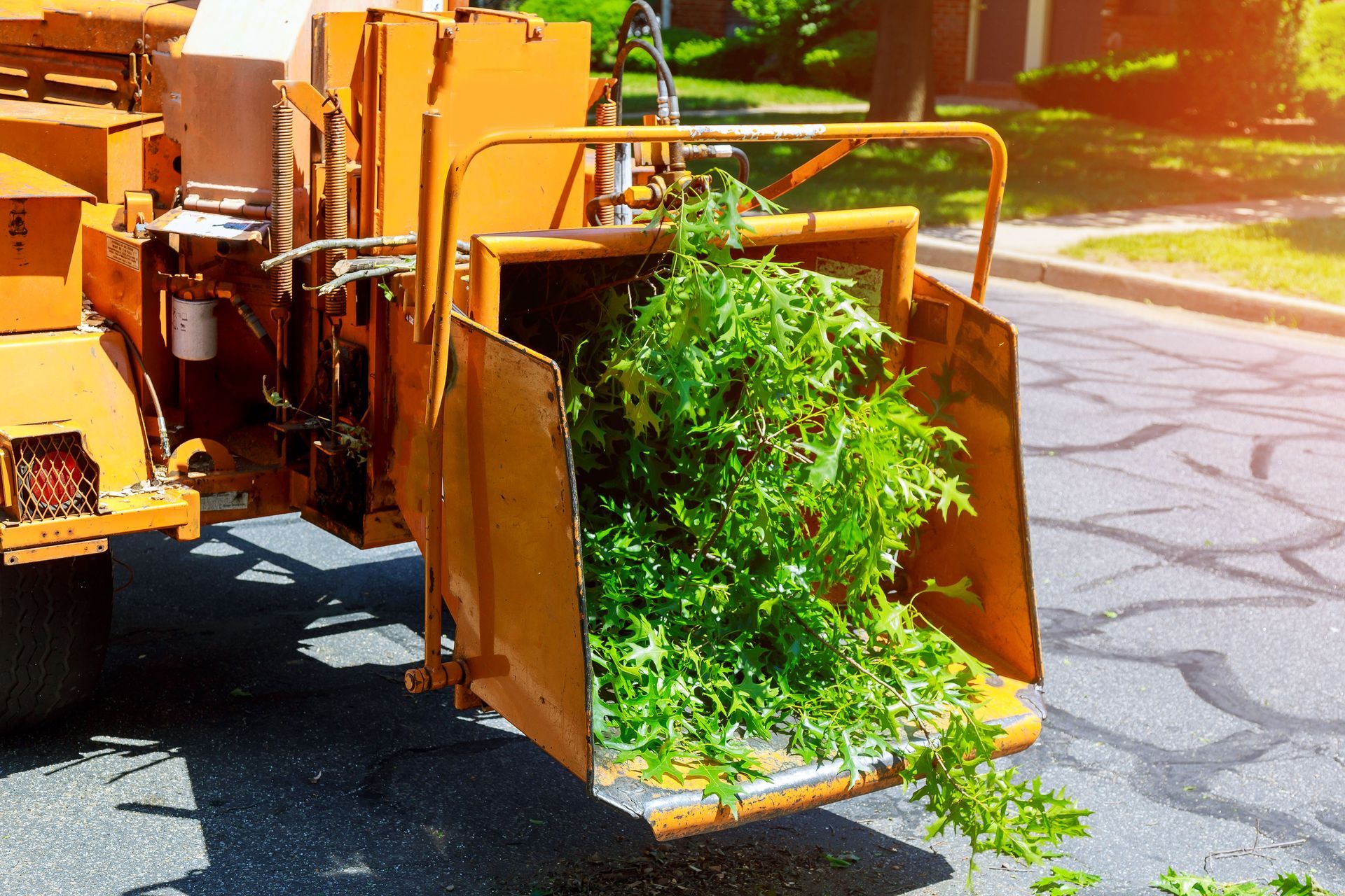 forestry mulching services