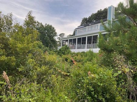 A light blue house with a porch is partially obscured by overgrown green bushes under a cloudy sky.