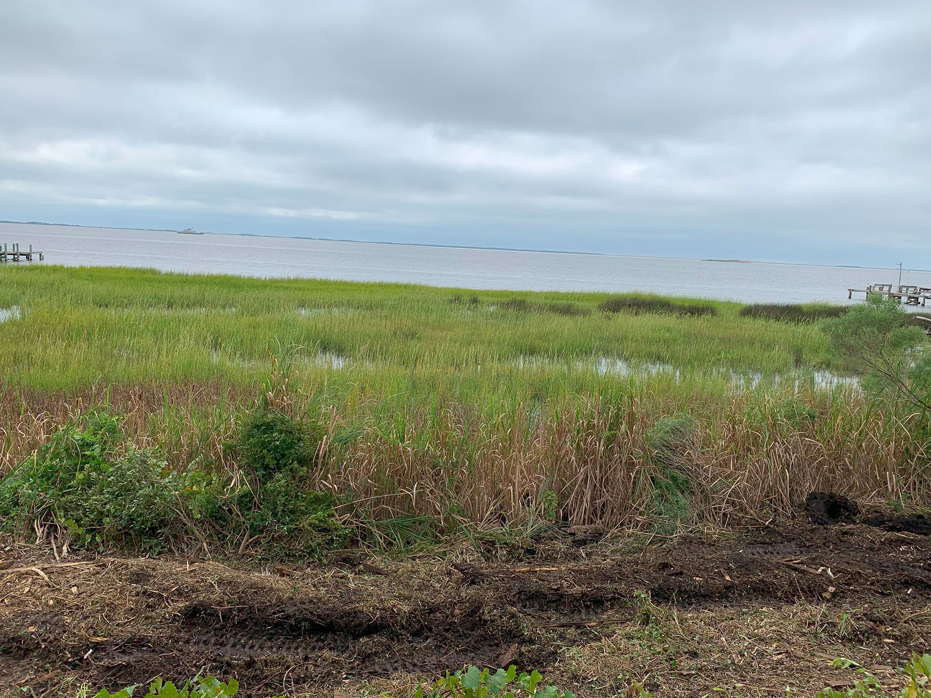 Grassy marshland along a shoreline under a cloudy gray sky.