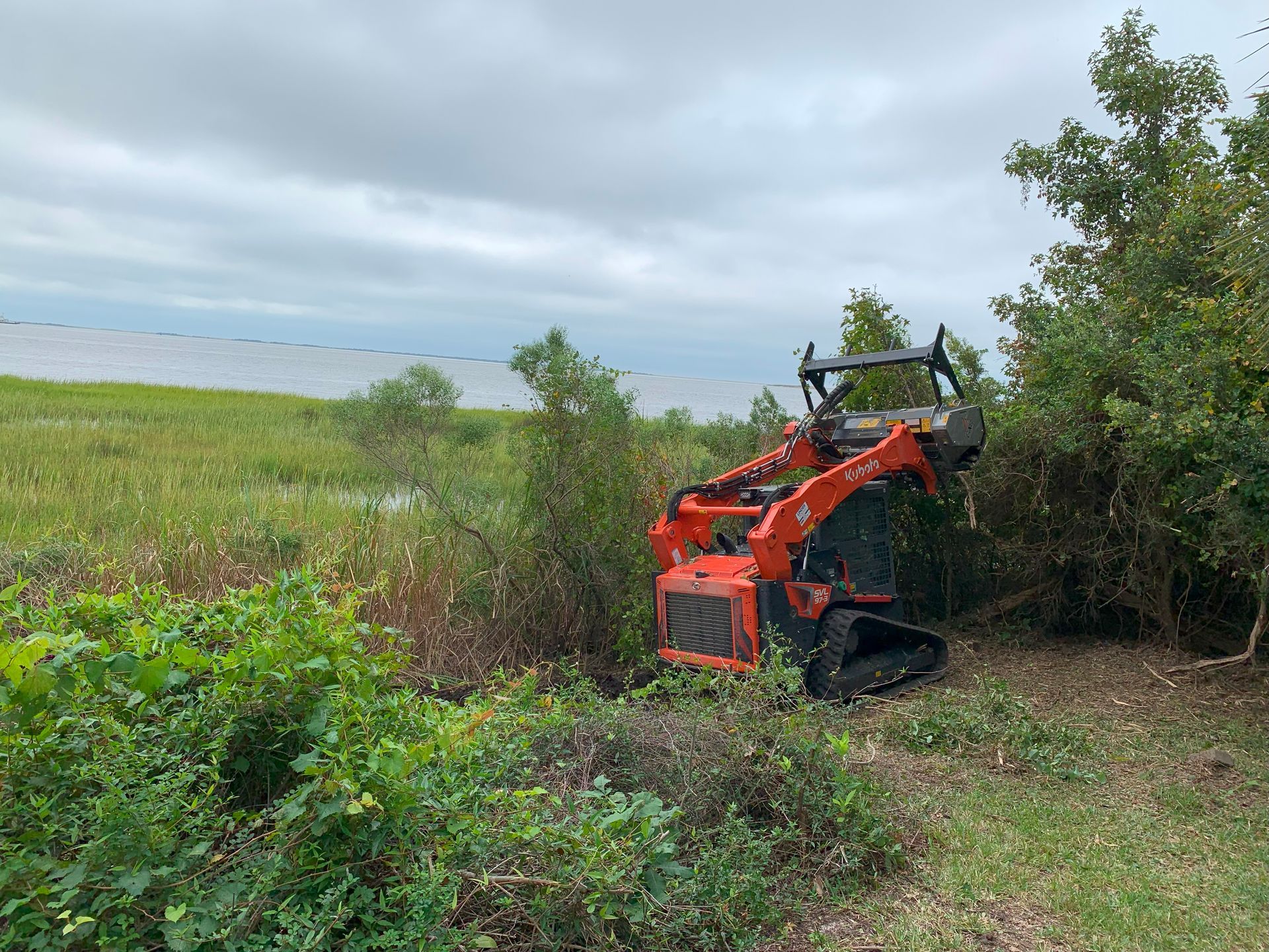 Orange skid steer clearing brush near a marsh under a cloudy sky.