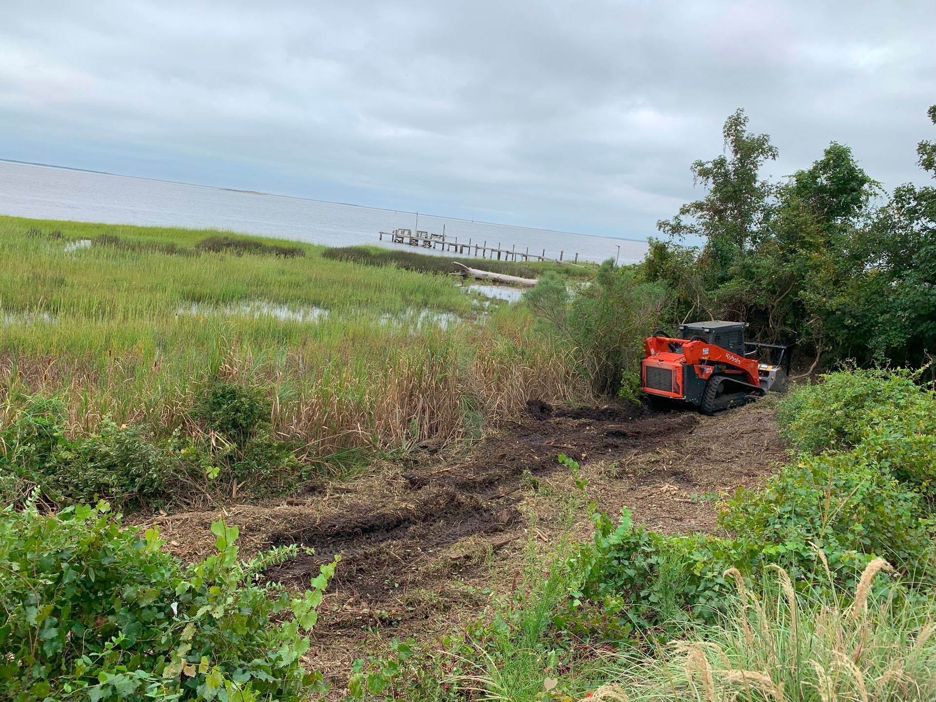 Orange skid steer clearing brush near a marshy shoreline under a cloudy sky.