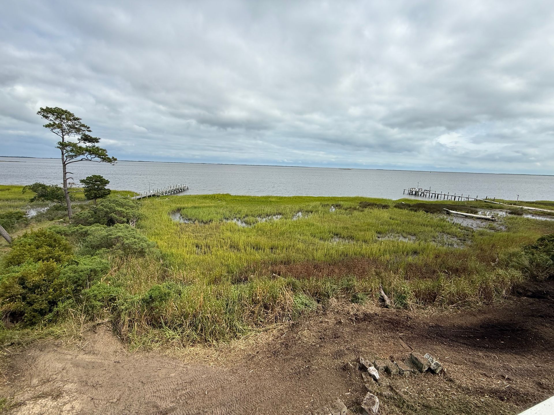 Coastal marsh under a cloudy sky with a view of open water.