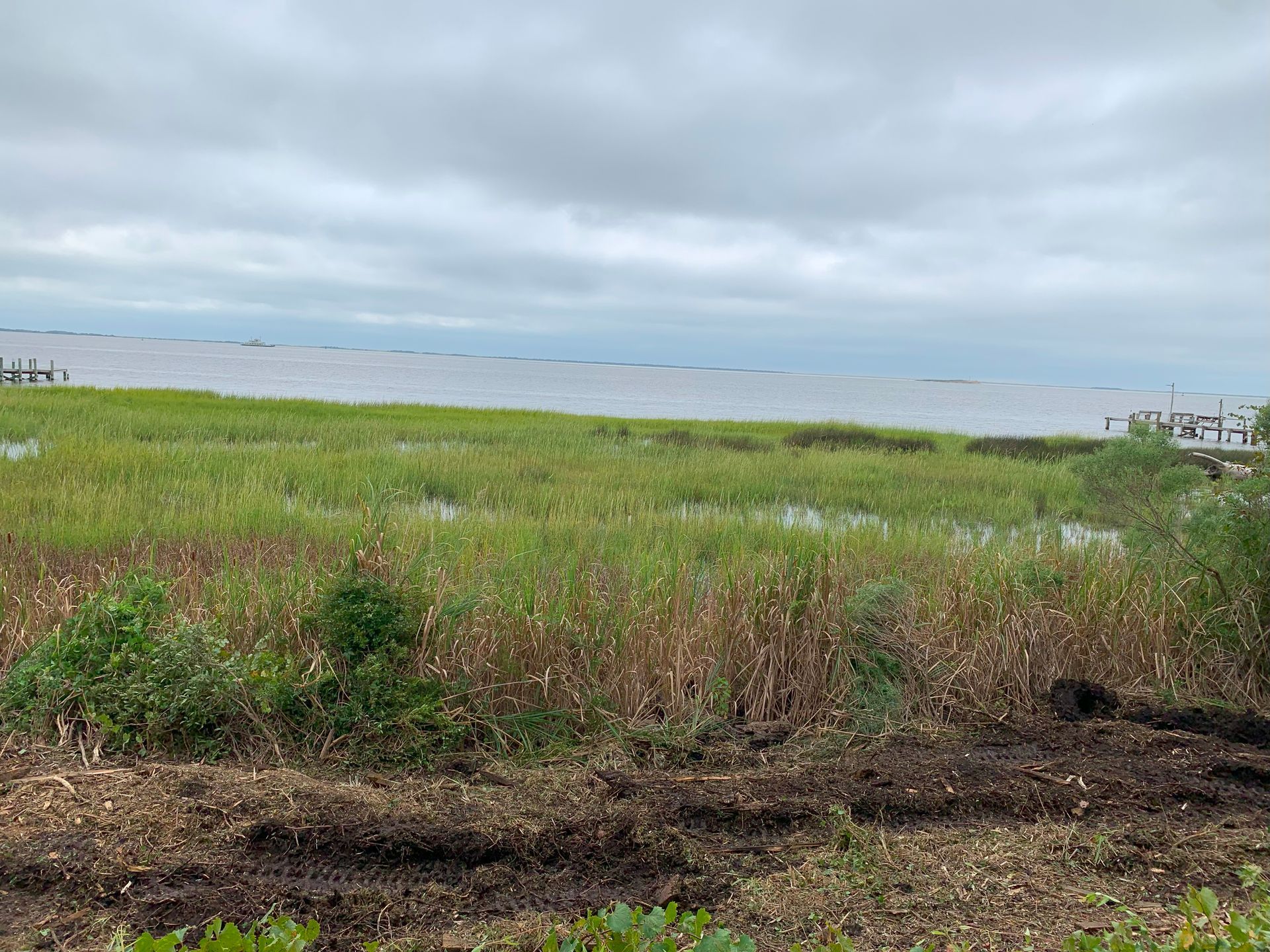 Grassy marshland with water and cloudy sky in the background.