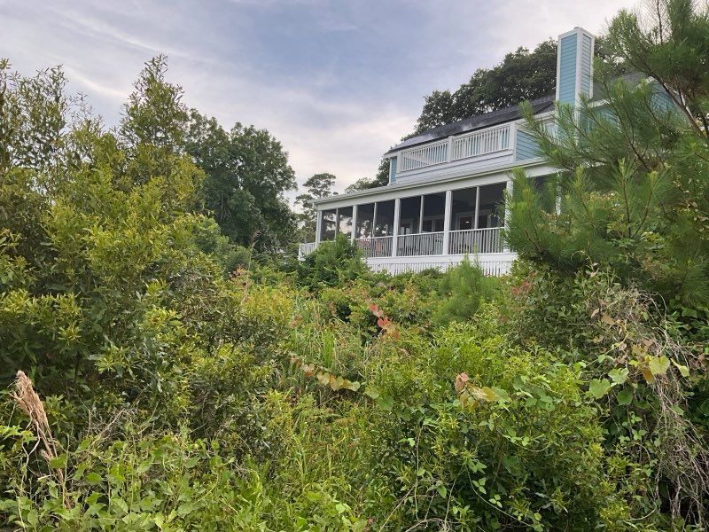 Overgrown vegetation obscures a light blue house with a porch, set against a partly cloudy sky.