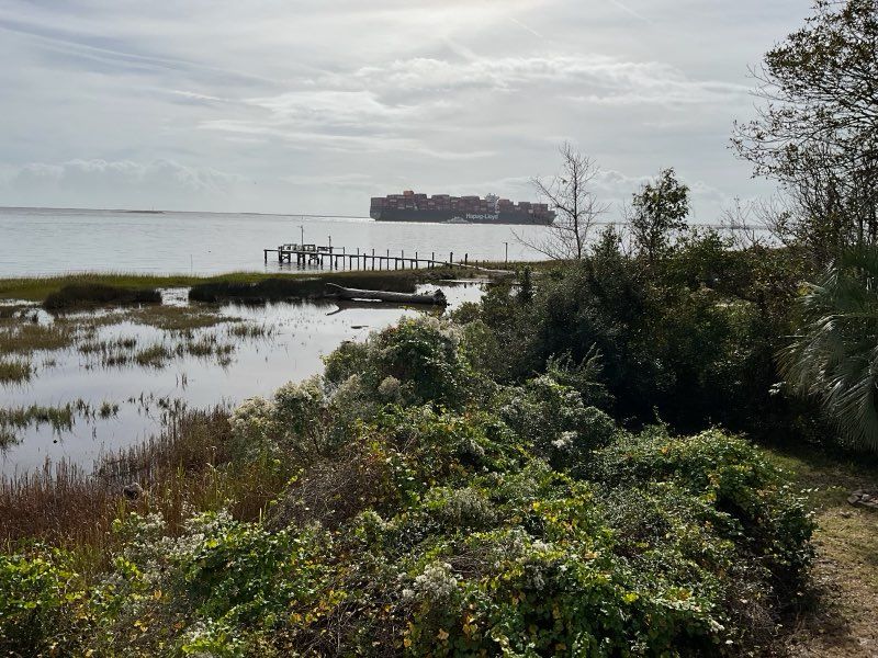 Marshy shoreline with a distant cargo ship under a cloudy sky; foreground of green foliage.