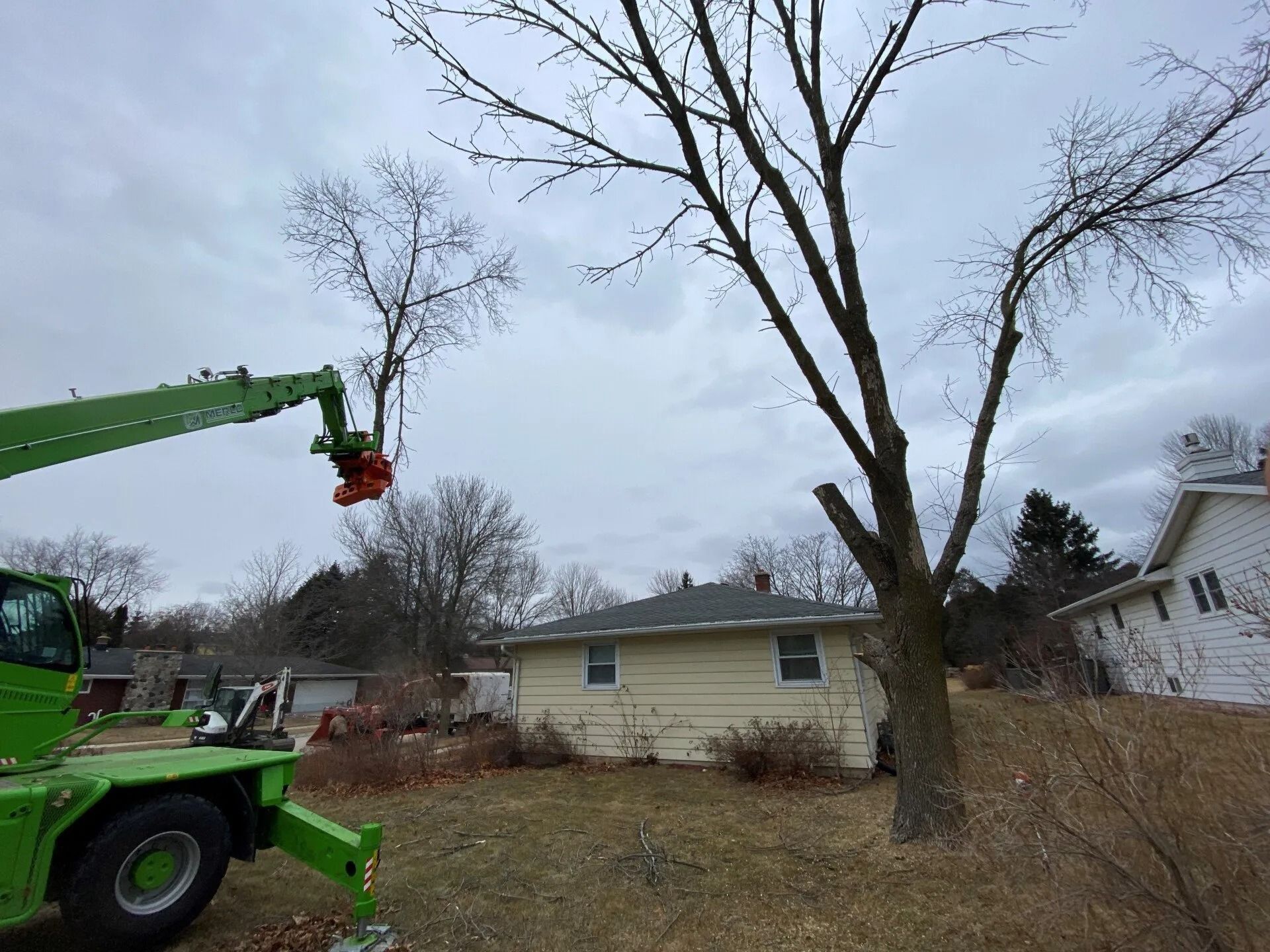 A green tree removal crane holds the top of a severed tree in a residential yard near a house.
