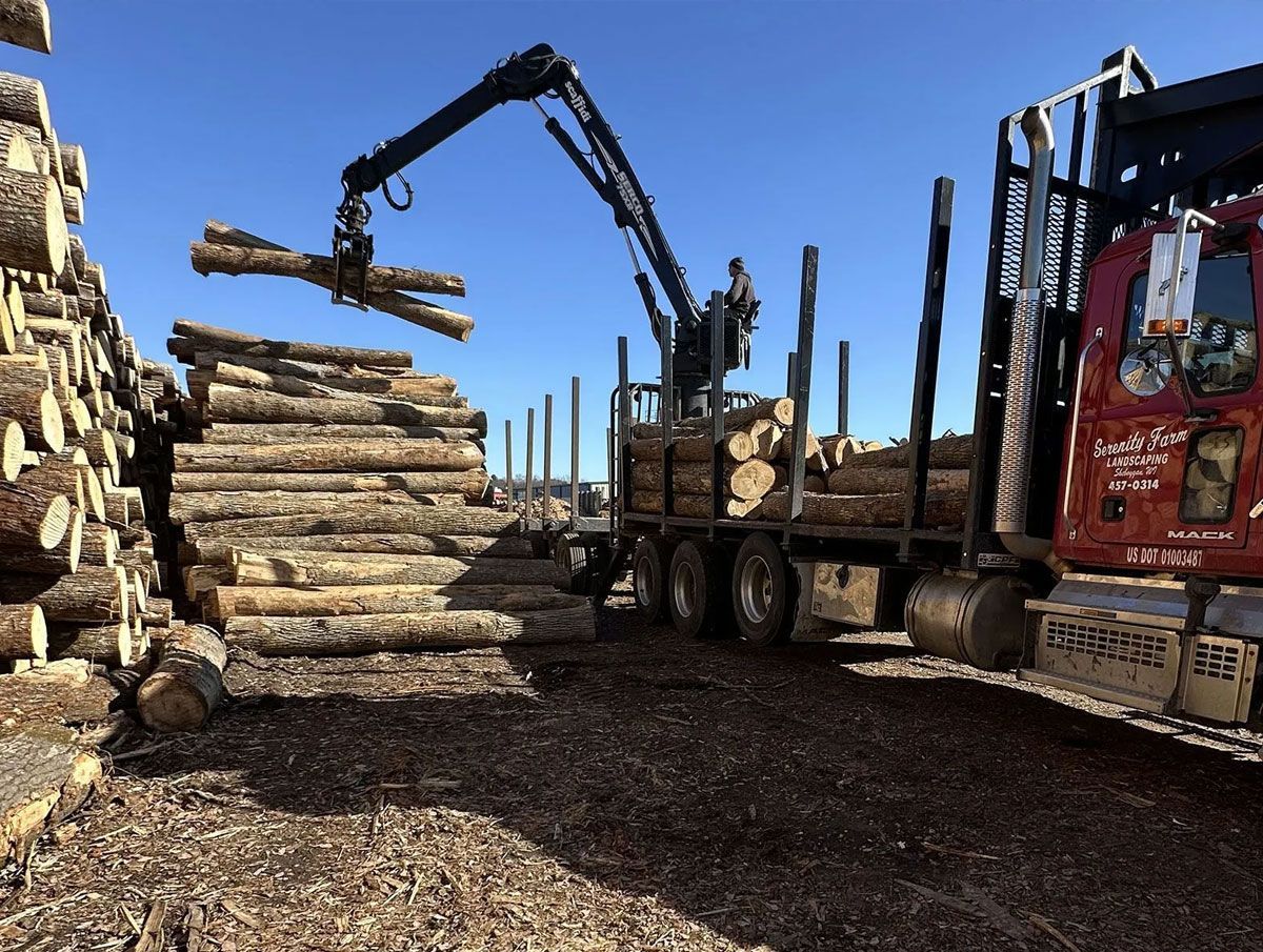 A red logging truck being loaded with timber by a crane against a bright blue sky.