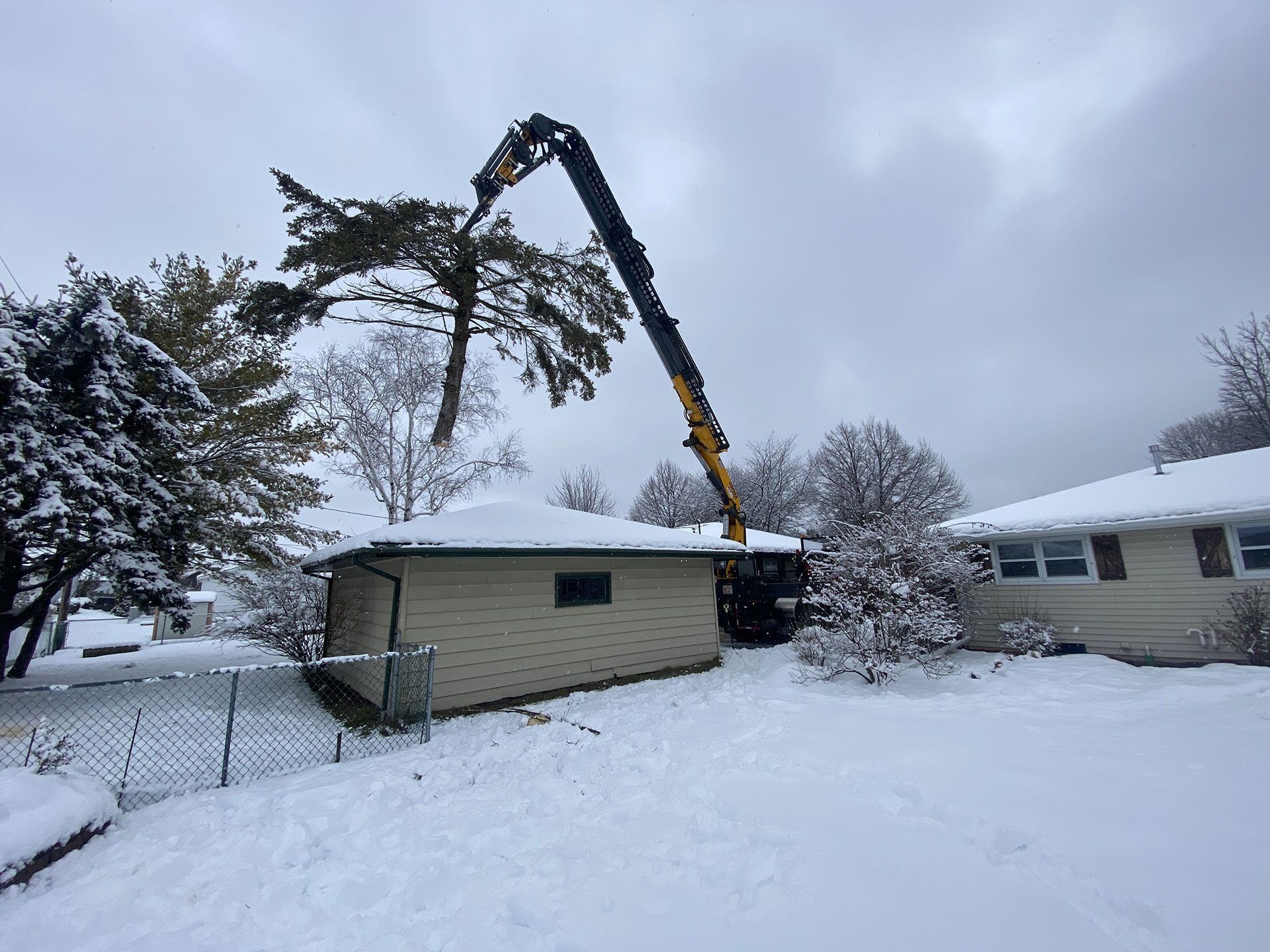 A crane lifts the top of a large pine tree over a snow-covered suburban garage during winter.