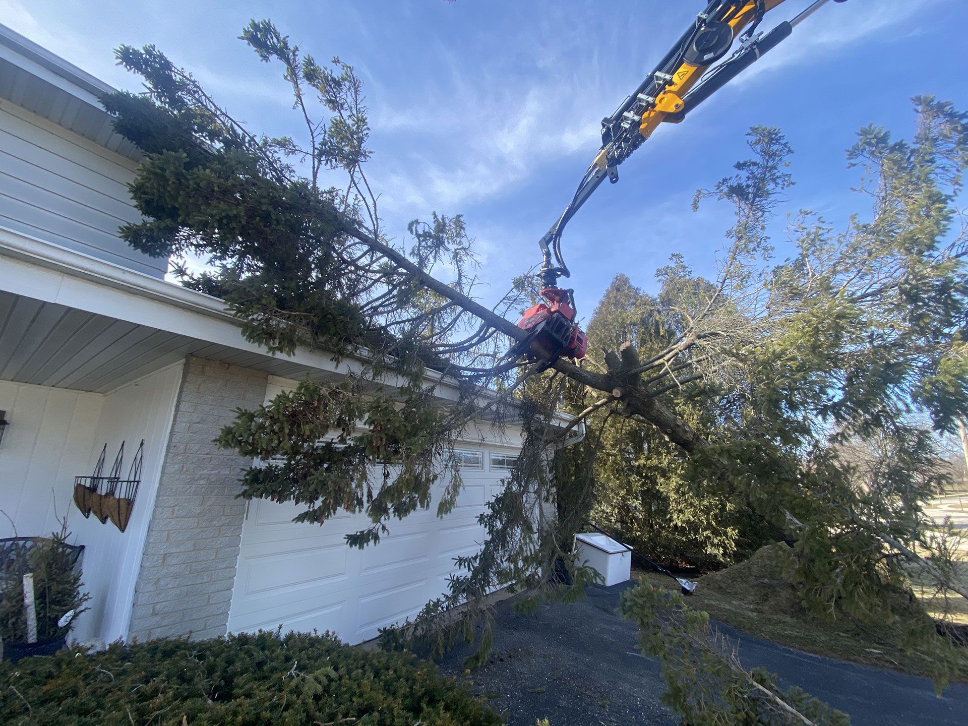 A crane lifts a large, fallen evergreen tree off the roof of a suburban house.