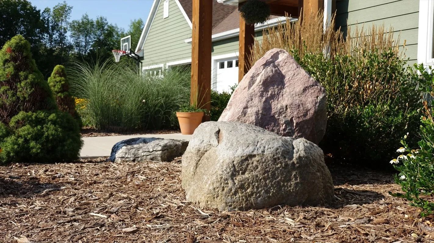 Large landscape rocks in a garden bed with mulch, shrubs, tall ornamental grasses, and a house in the background.