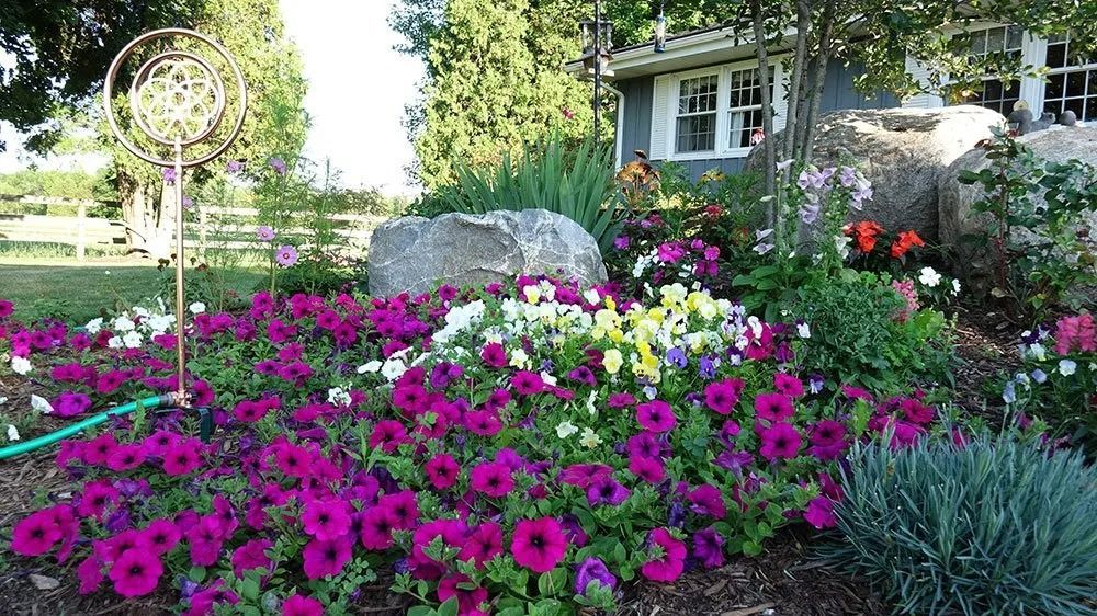 A flower bed filled with vibrant purple petunias, white flowers, and a large decorative metal spinner in a sunny garden.