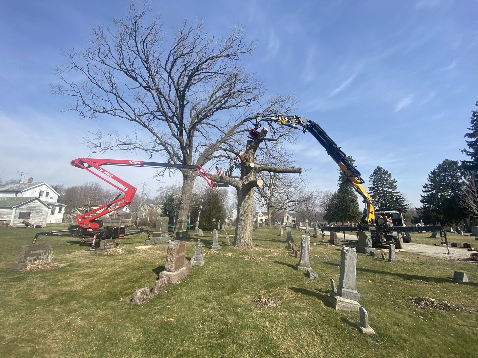 A red cherry picker and a yellow crane work to remove a large tree in a cemetery filled with gravestones.