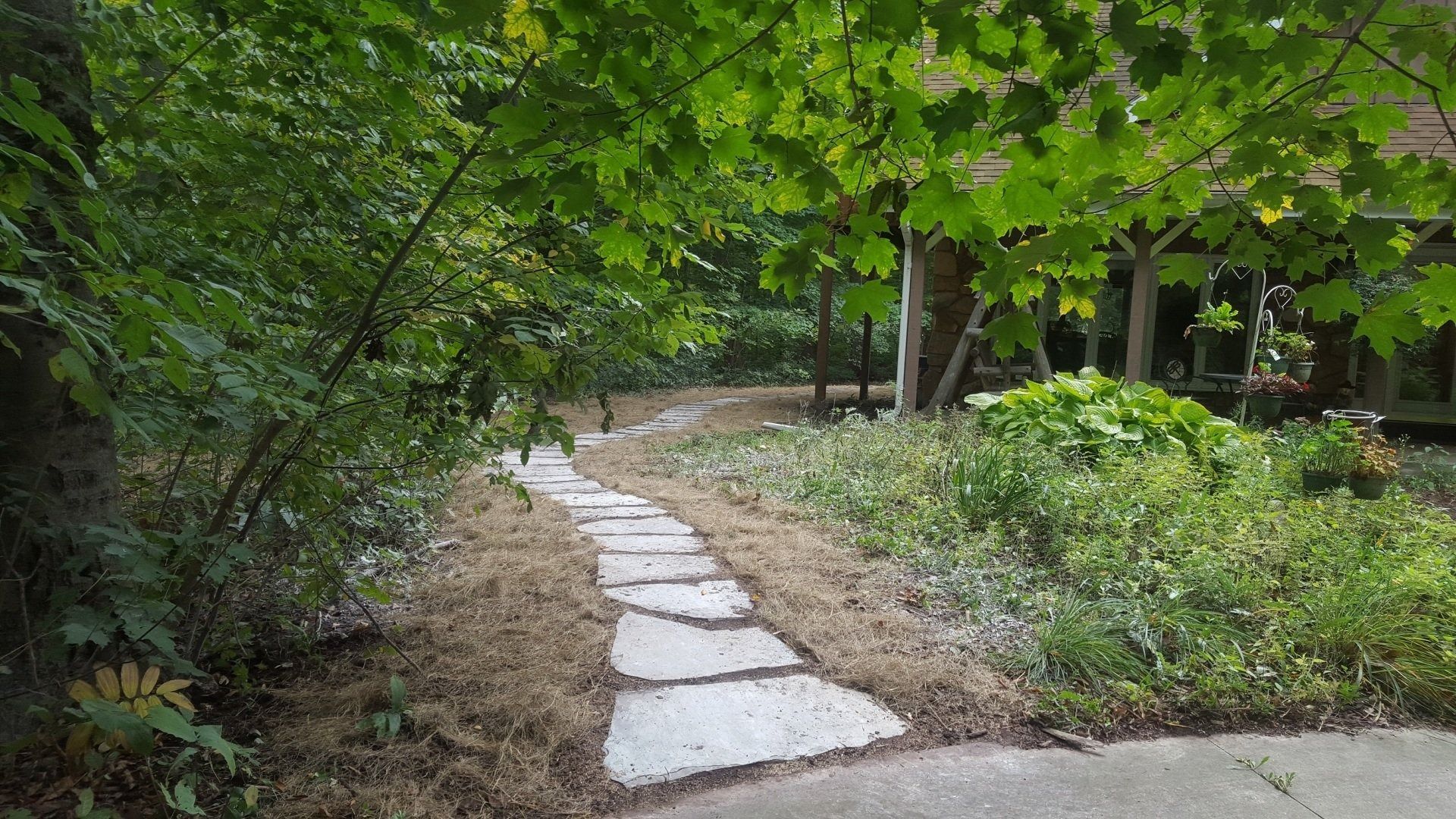 A stone pathway winds through a lush, green garden toward a house partially shaded by trees.