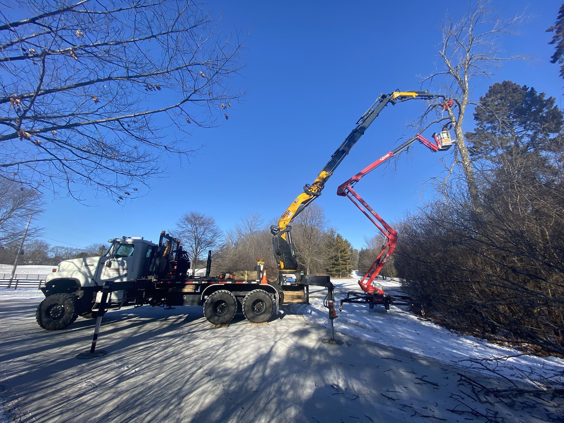 A yellow crane truck and a red aerial lift working together to prune a bare tree in a snowy field under a clear blue sky.