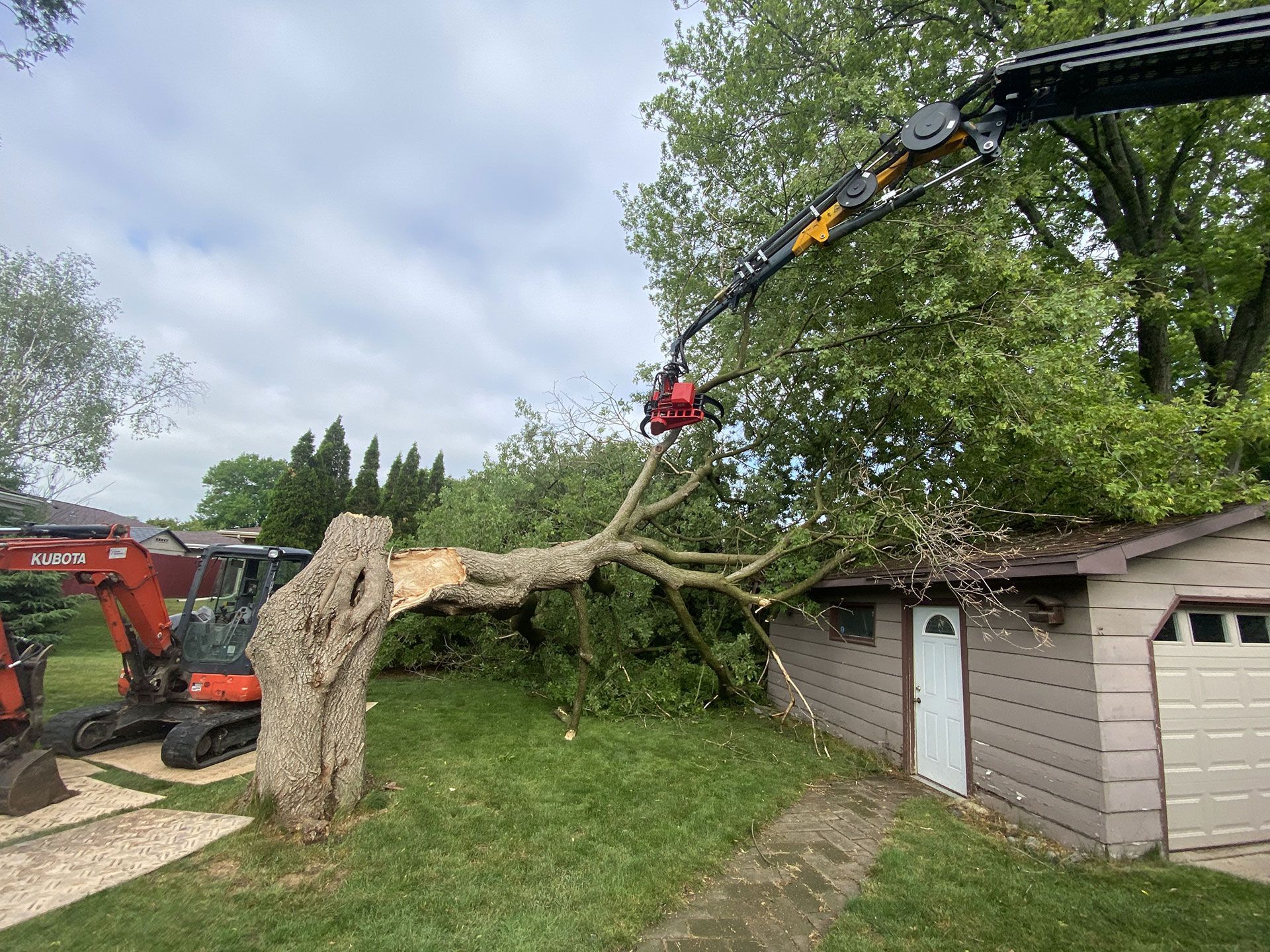 A crane attachment with a saw cuts into a large, fallen tree resting on a shed, with an orange excavator nearby.