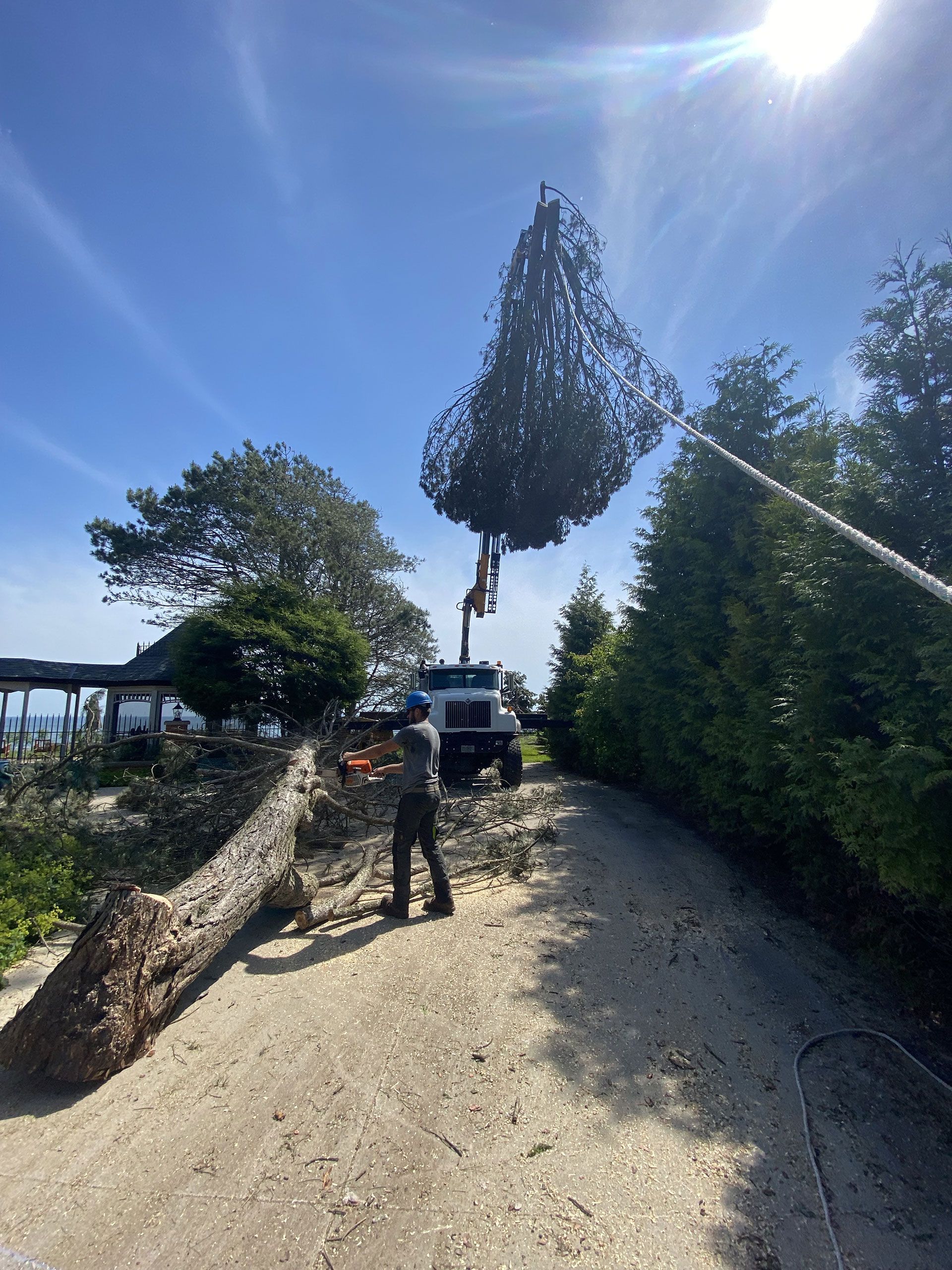 A crane lifts a large tree section near a dirt road while a worker in a hard hat stands nearby.