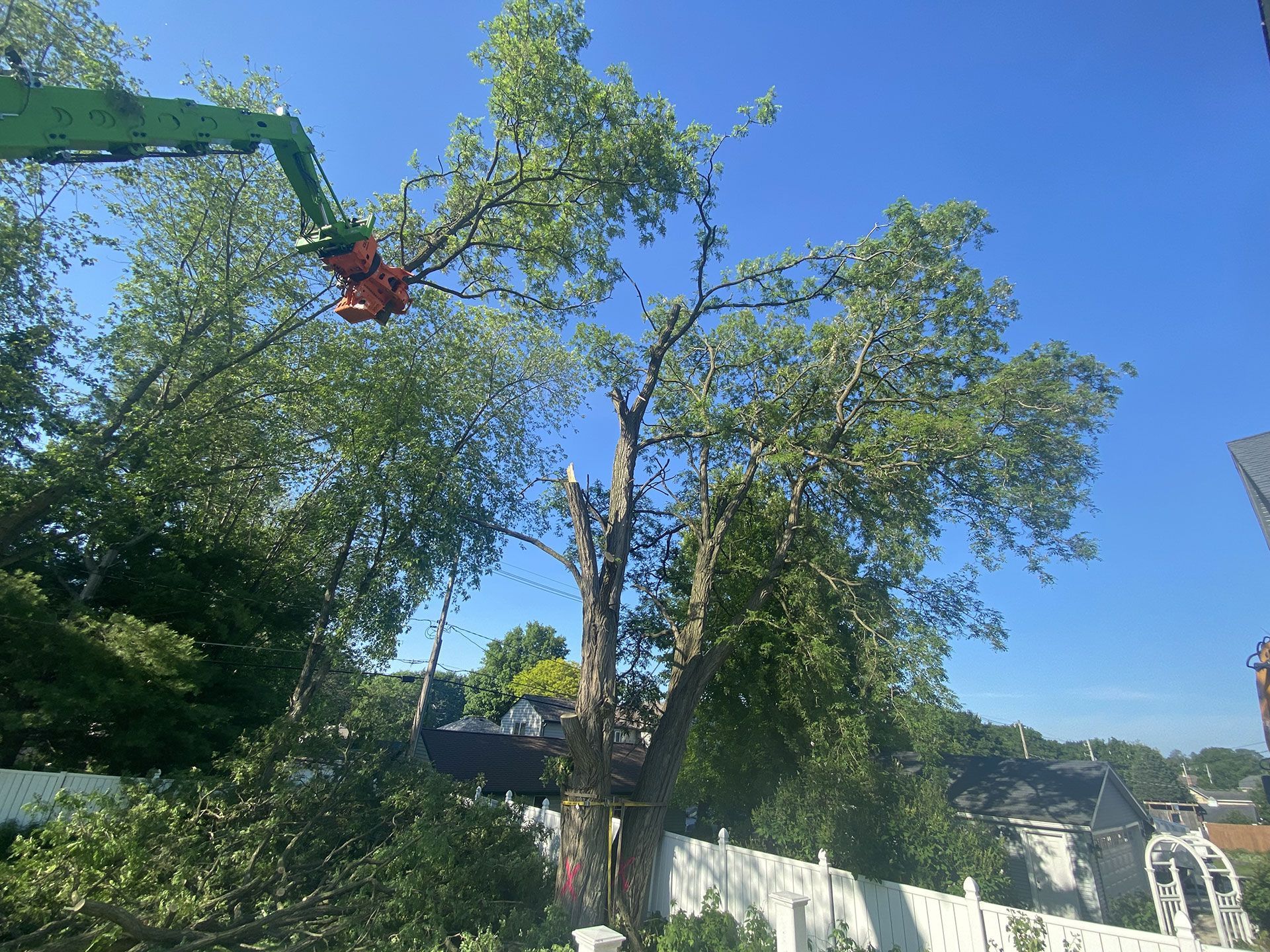 A green crane arm lifts a tree limb over a residential backyard, trimming a large tree above a white fence.