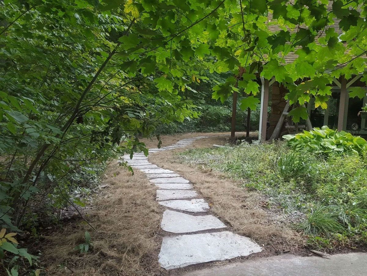 A stone path winds through a lush, green wooded area toward a building partially obscured by trees.