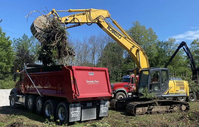 A yellow excavator dumps a bucket of tree debris into the bed of a red dump truck in a wooded area.