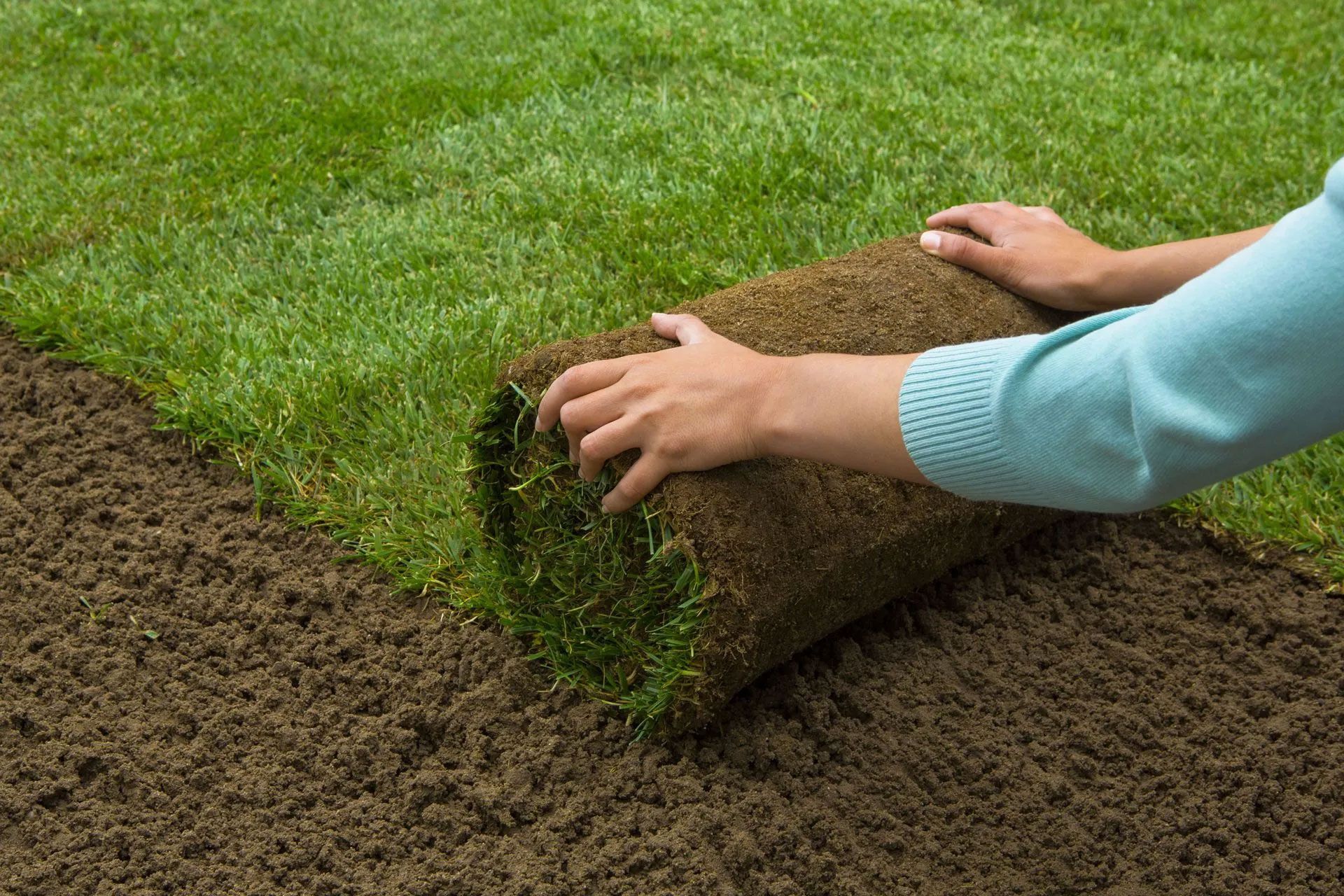 A person in a light blue long-sleeved shirt unrolls a strip of green turf onto freshly prepared soil.