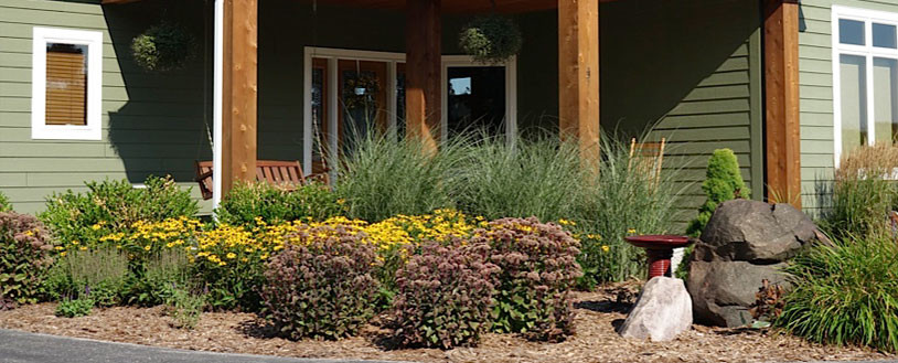 A landscaped front yard with yellow flowers, ornamental grasses, and shrubs in front of a green porch with wooden beams.