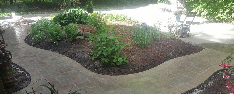 A curved paver walkway borders a garden bed filled with dark mulch and various green shrubs in a sunlit yard.