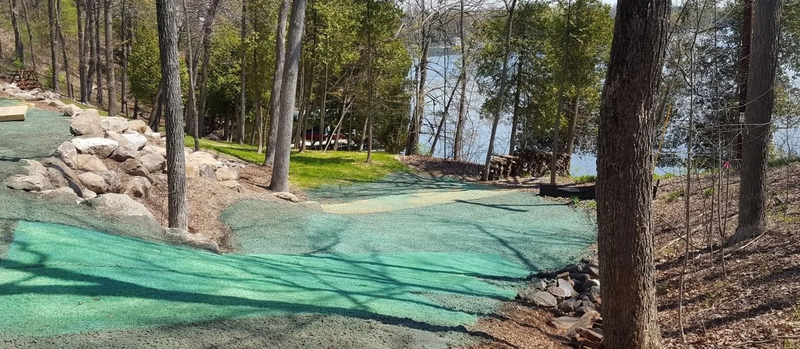 A sloping landscape with a patch of green hydroseeded soil near a lake, framed by trees and a rocky embankment.