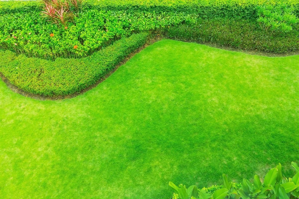 A manicured green lawn framed by a curved, trimmed hedge and lush landscaping.