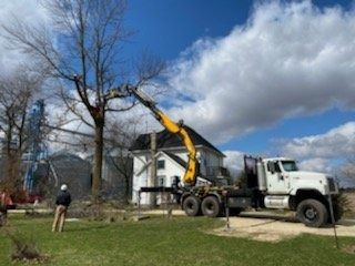 A white utility truck with a yellow crane arm reaches into a tall, bare tree to trim branches near a house and silo.