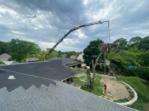 A crane lifts branches from a tree next to a residential house roof, while a worker stands nearby on the ground.