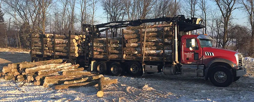 A red log truck loaded with timber is parked on a snowy, wooded lot with a pile of logs on the ground nearby.