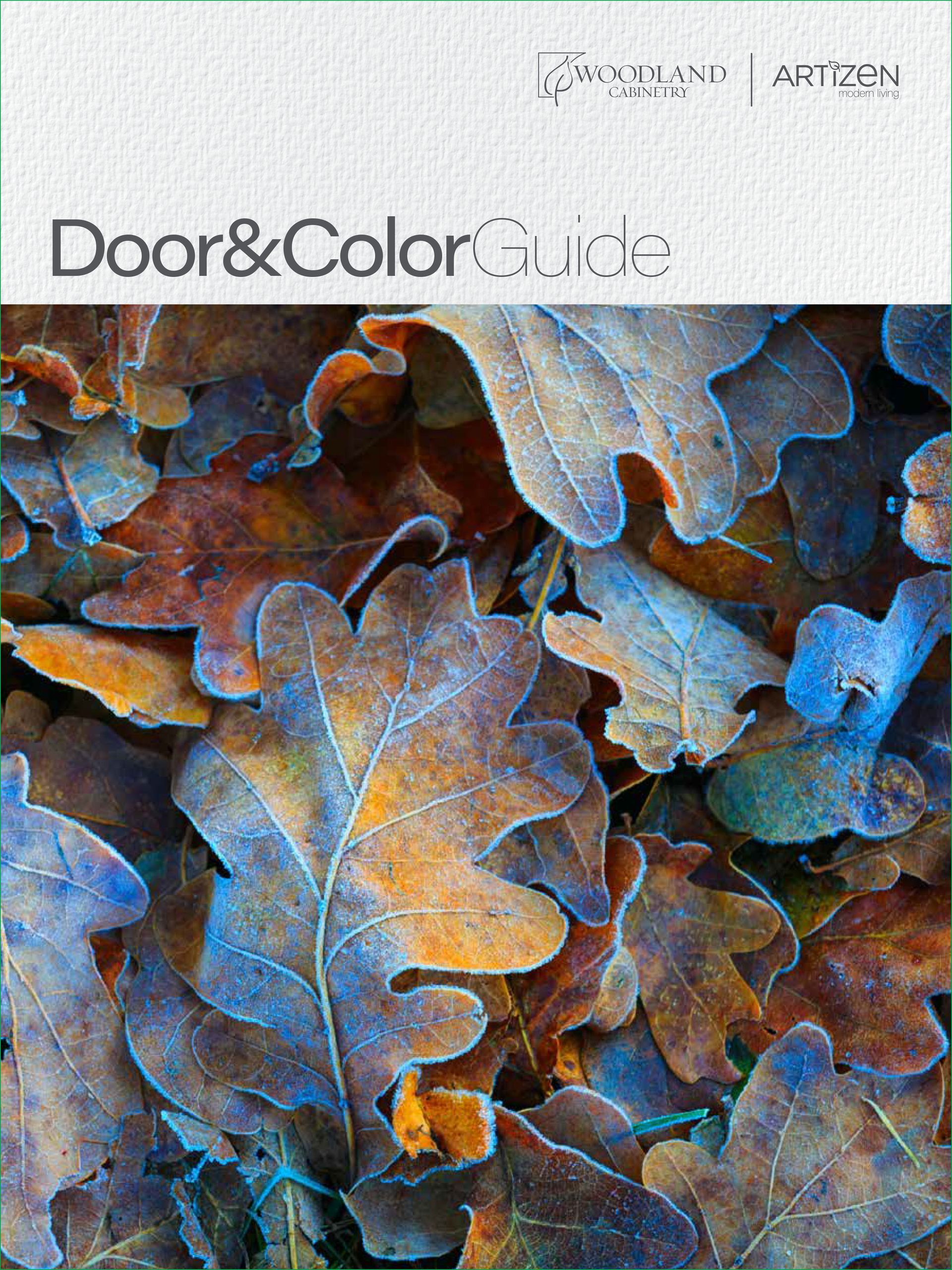 a book called door & colorguide has a picture of green leaves on the cover