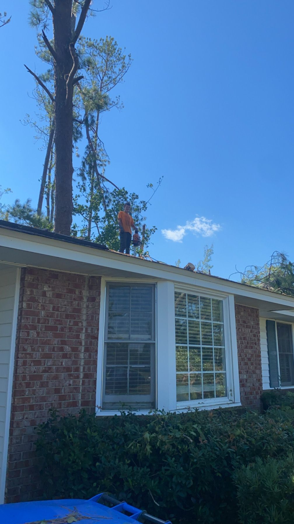 A man is standing on the roof of a house next to a tree.