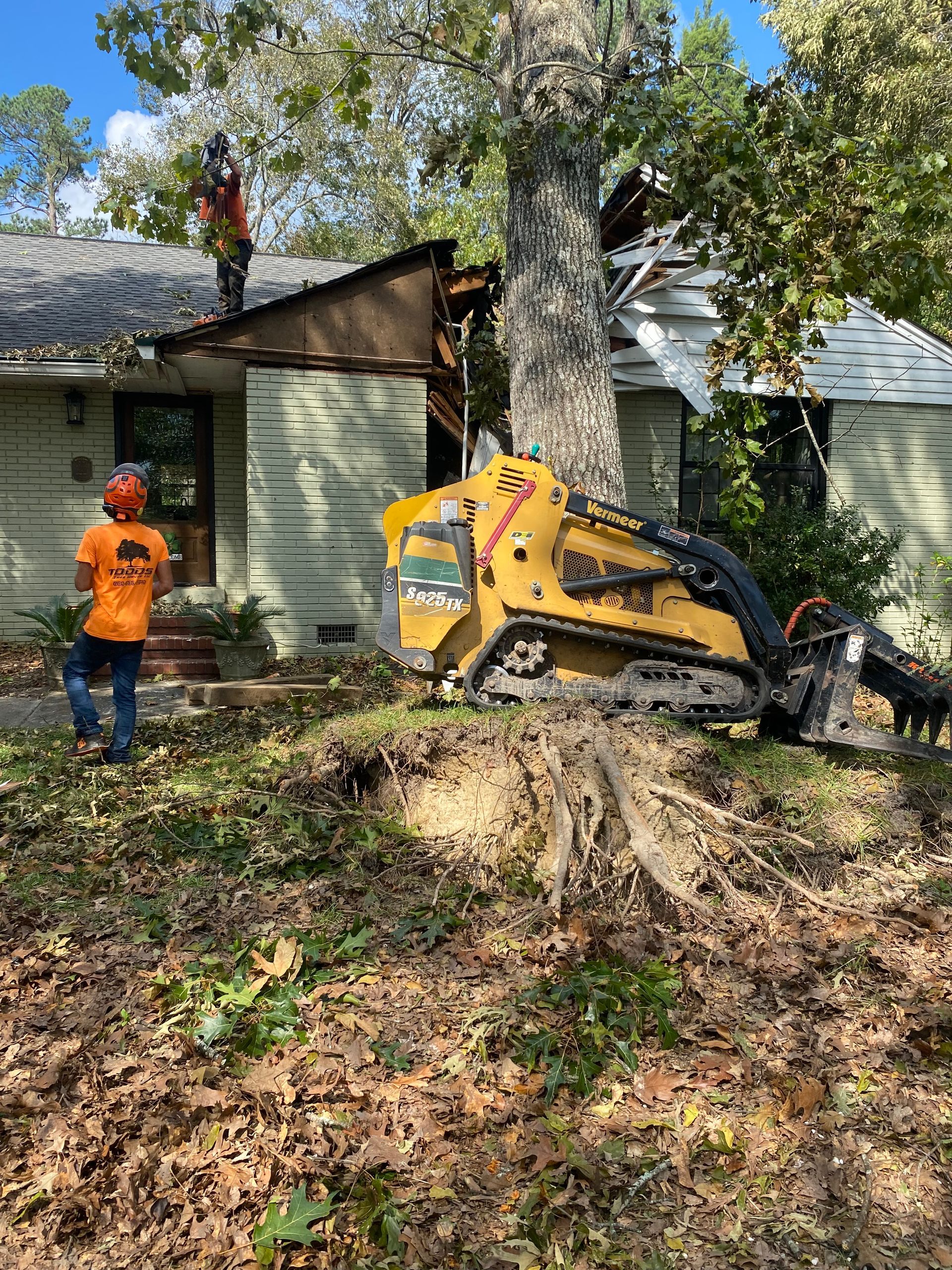 A tree stump grinder is being used to remove a tree from a house.