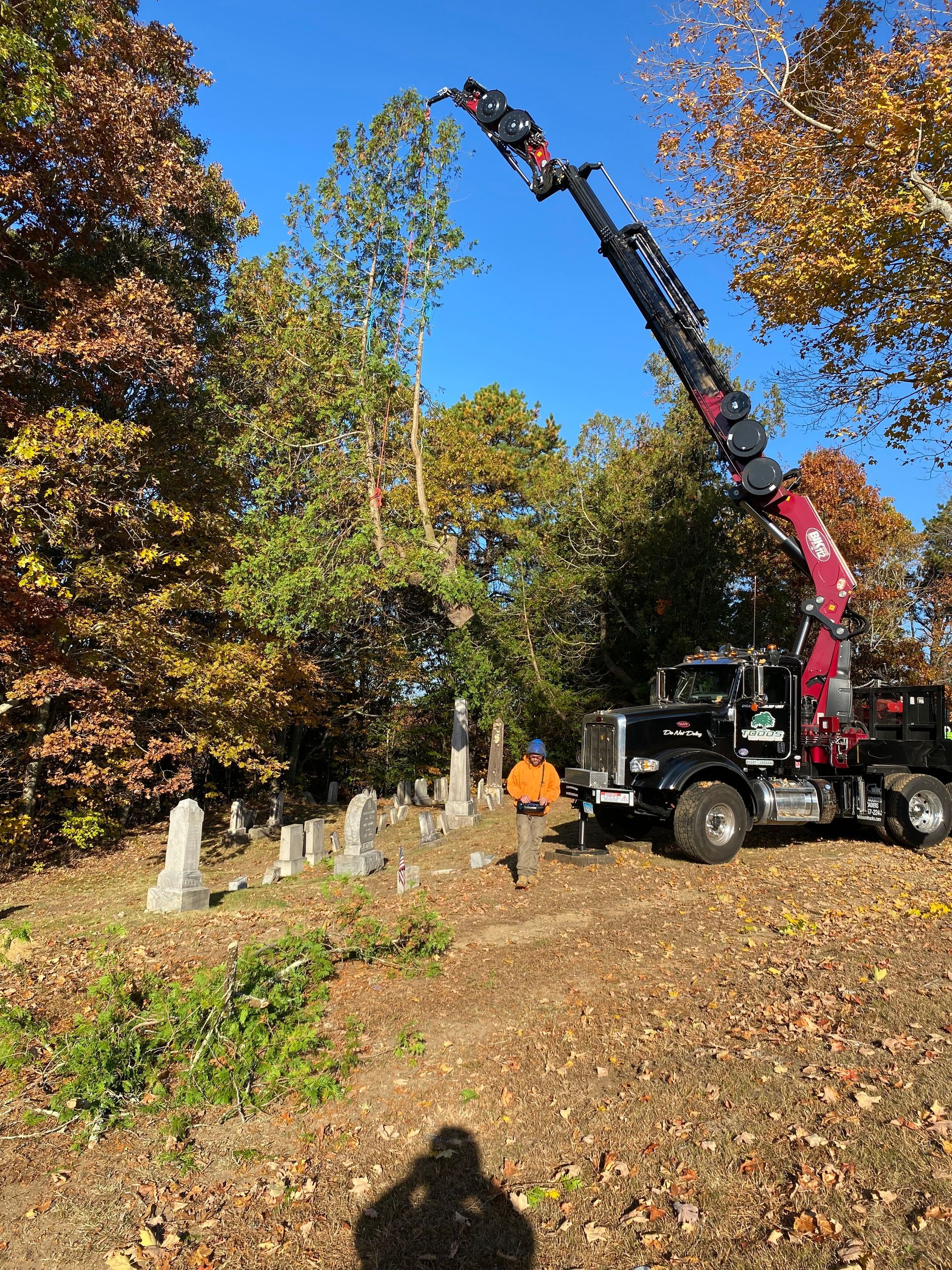 A crane is lifting a tree in a cemetery.