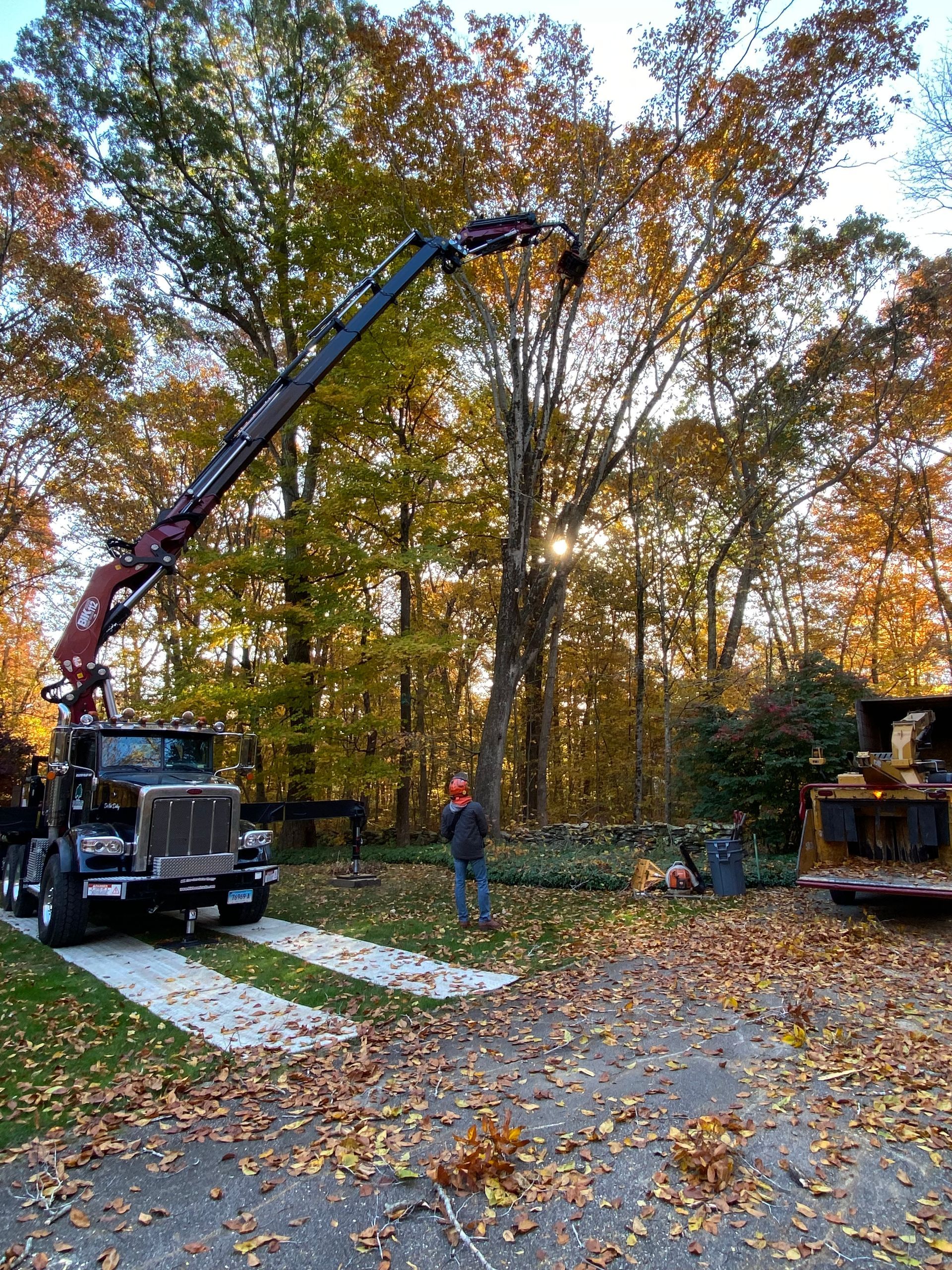 A truck with a crane attached to it is cutting a tree.