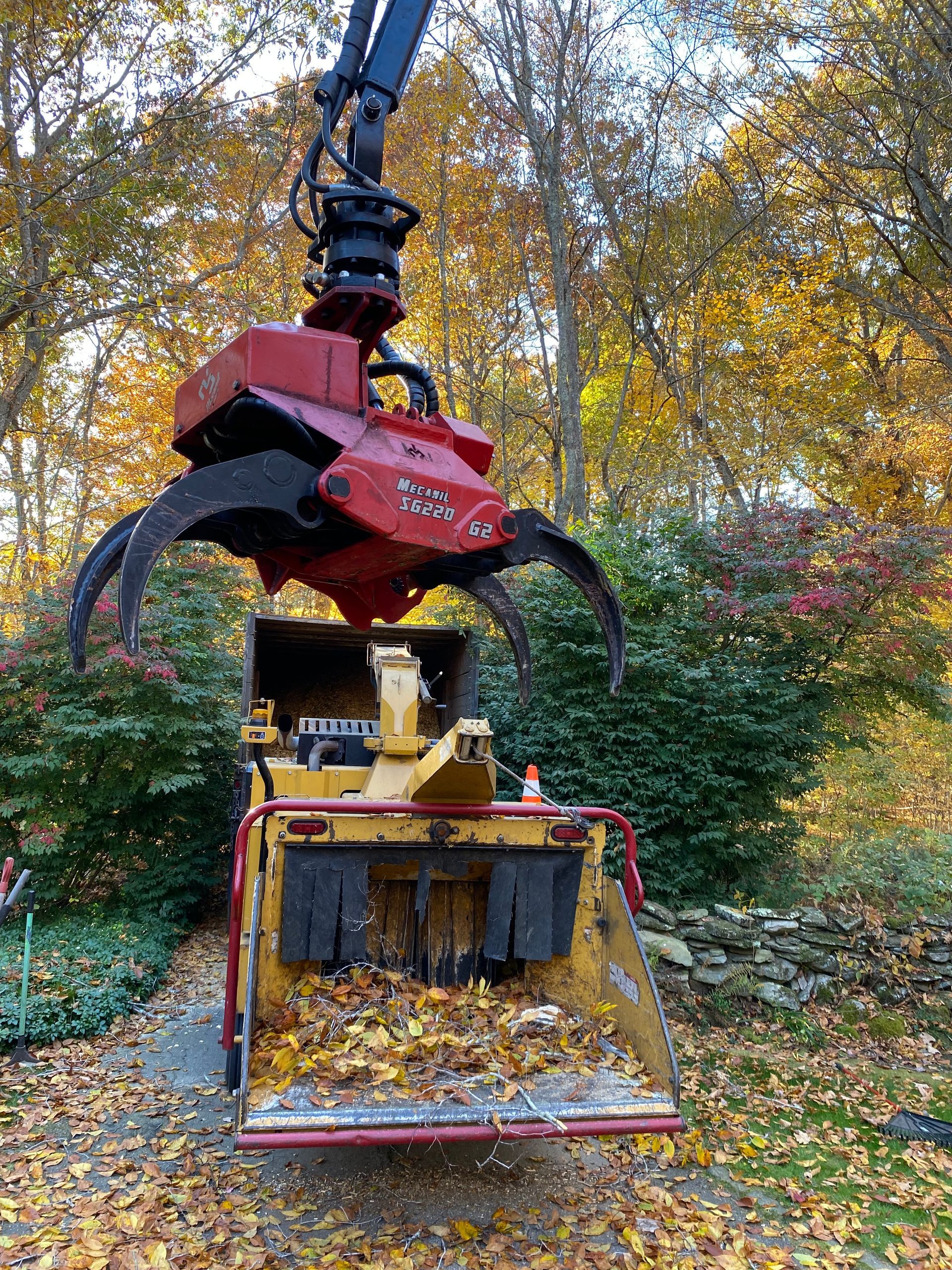 A machine is being used to remove leaves from the ground.