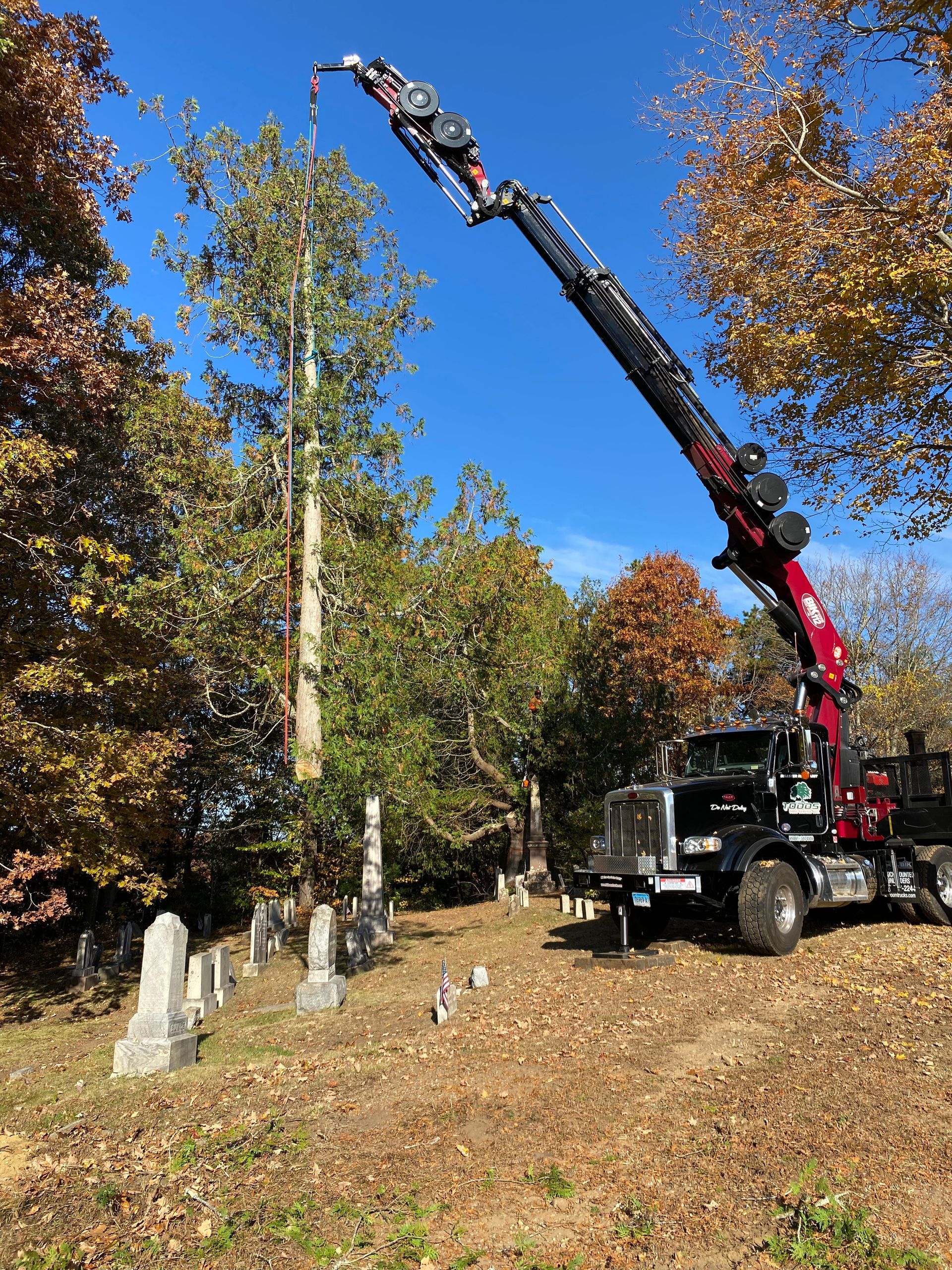 A crane is lifting a tree in a cemetery.