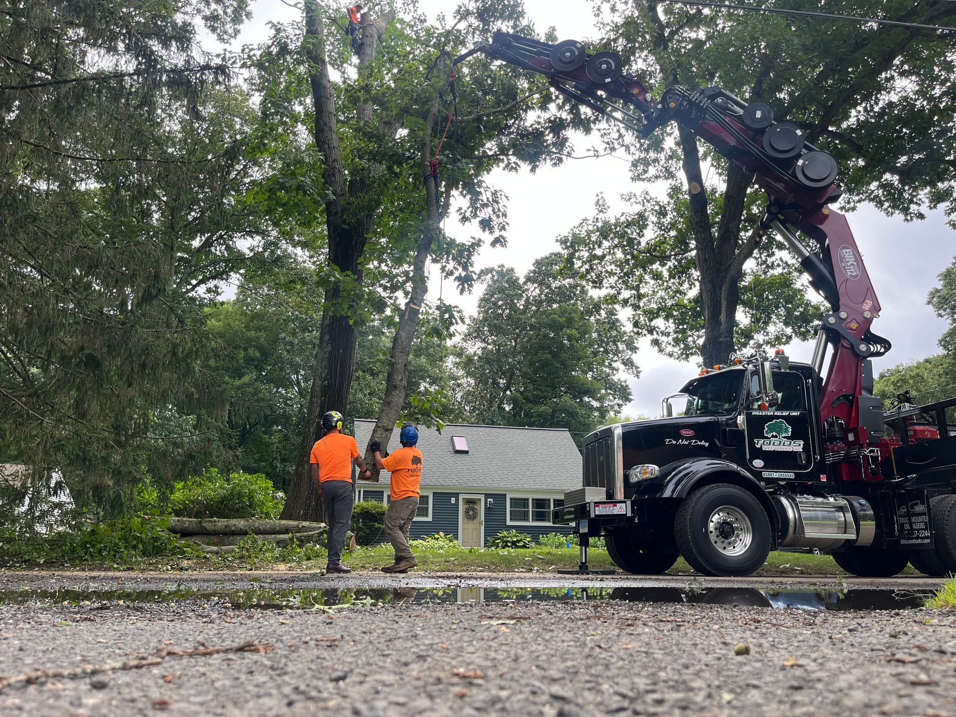 A crane is lifting a tree in front of a house.