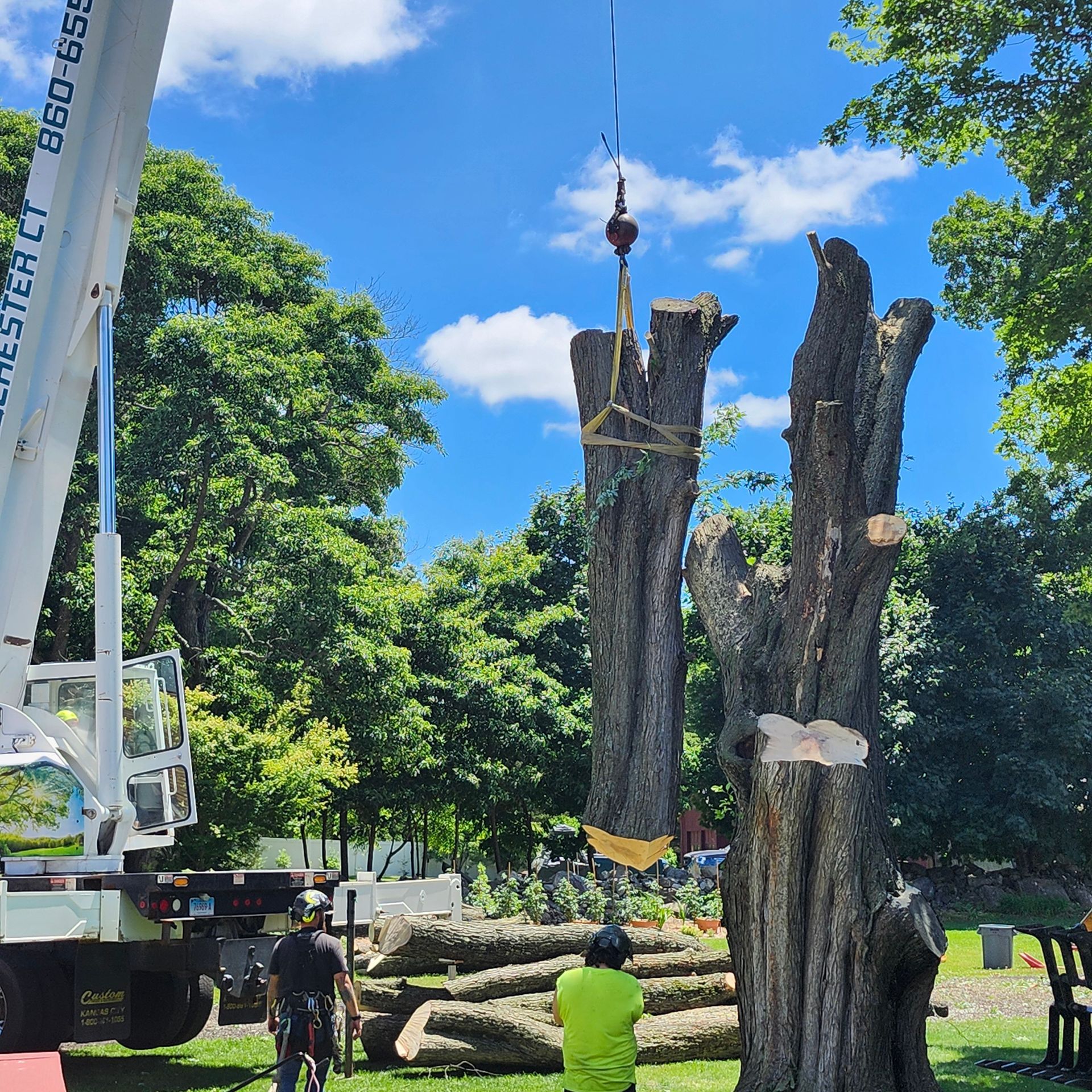 A crane is lifting a tree stump in a park