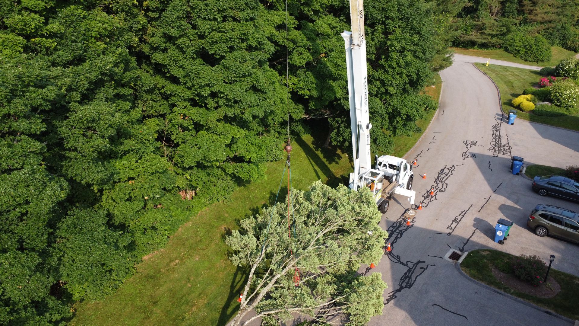 An aerial view of a crane cutting a tree in a parking lot.