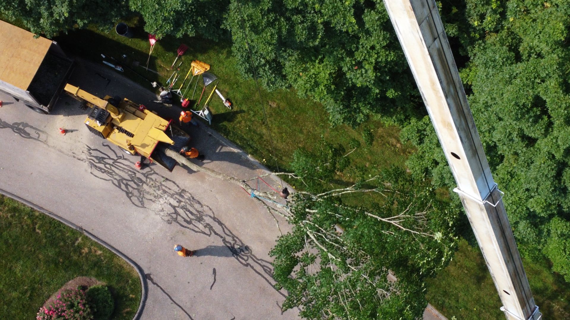 An aerial view of a tree being cut down by a crane.